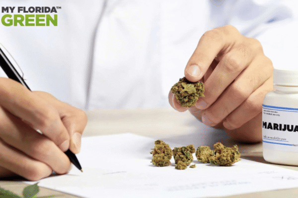 Marijuana Attorneys: Expert Legal Guidance for Navigating Cannabis Laws, Criminal Defense, and Business Compliance