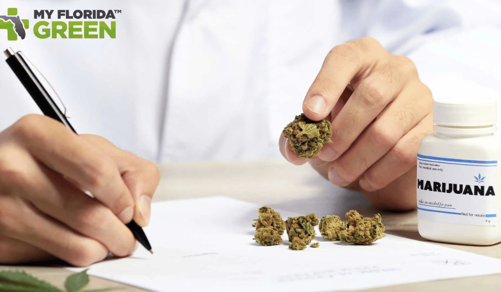 Marijuana Attorneys